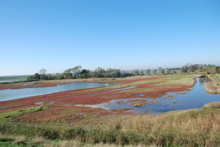 Natuur Plan Tureluur