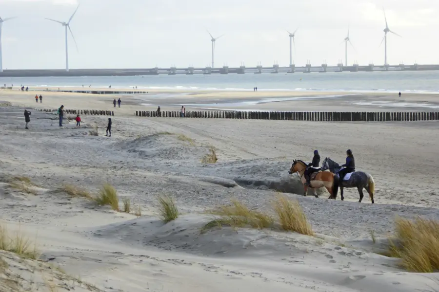 Renesse 2