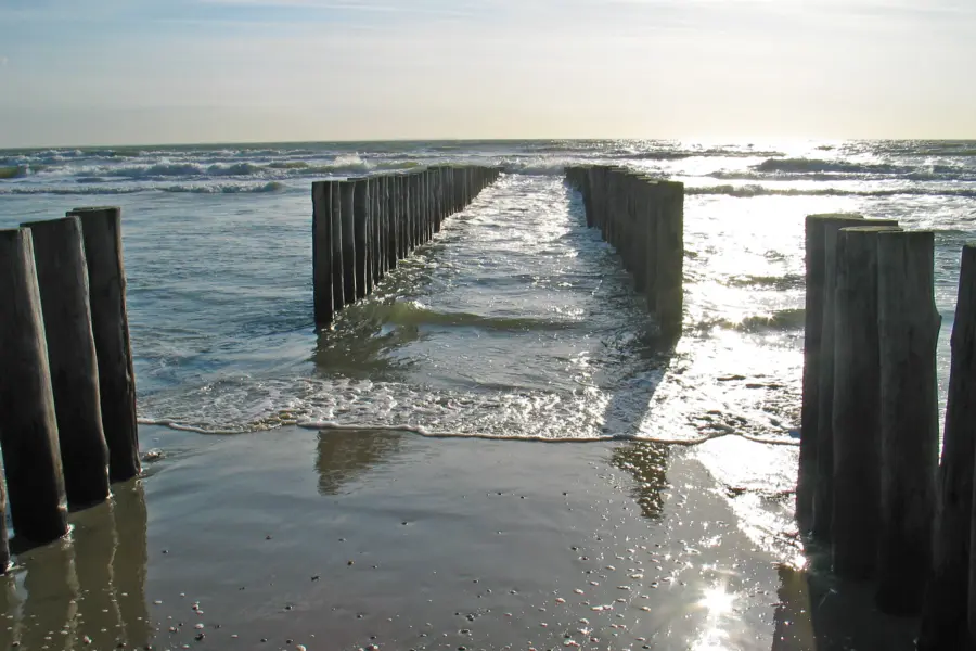 Renesse 6