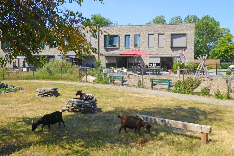 Eten en Drinken Combineer de kinderboerderij met een bakkie en gebak
